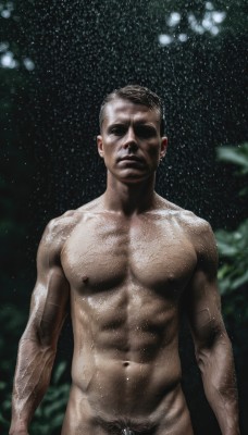 solo,short hair,black hair,1boy,navel,closed mouth,nipples,standing,male focus,nude,cowboy shot,outdoors,blurry,pubic hair,completely nude,muscular,night,facial hair,abs,pectorals,muscular male,male pubic hair,realistic,arms at sides,penis,groin,shaded face,star (sky),bara,chest hair