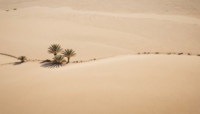 outdoors,day,water,tree,no humans,shadow,ocean,beach,plant,scenery,sand,palm tree,horizon,shore,desert,signature,gradient,gradient background,leaf,traditional media,grass