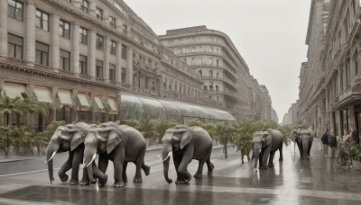 outdoors,sky,day,tree,no humans,window,animal,sunlight,plant,ground vehicle,building,scenery,motor vehicle,reflection,city,road,riding,horse,street,multiple girls,multiple boys,6+boys,statue,people,crosswalk