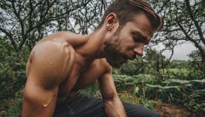 solo,short hair,brown hair,1boy,closed mouth,closed eyes,male focus,outdoors,pants,from side,tree,profile,muscular,facial hair,muscular male,nature,beard,forest,topless male,realistic,mustache,dirty,chest hair,photo background,arm hair,sitting,nipples,sweat,day,black pants,pectorals,bara,large pectorals,mature male,manly