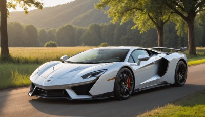 outdoors,day,tree,no humans,shadow,grass,ground vehicle,nature,scenery,motor vehicle,forest,mountain,car,road,vehicle focus,wheel,sports car