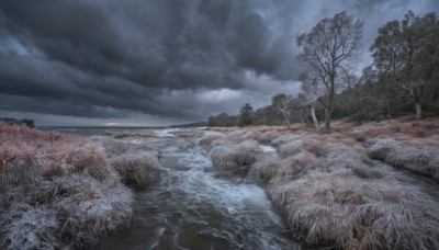 outdoors,sky,day,cloud,water,tree,no humans,cloudy sky,grass,nature,scenery,forest,mountain,bare tree,river,landscape,fog,ocean,beach,sand,horizon,waves,shore,grey sky,overcast