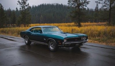 outdoors,sky,cloud,tree,no humans,grass,ground vehicle,nature,scenery,motor vehicle,forest,car,road,vehicle focus,grey sky,wheel,sports car,solo,field