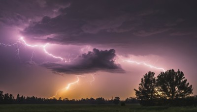 outdoors,sky,cloud,tree,no humans,cloudy sky,grass,nature,scenery,forest,sunset,electricity,lightning,landscape