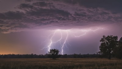 outdoors,sky,cloud,tree,no humans,cloudy sky,grass,nature,scenery,forest,sunset,electricity,lightning,purple sky,monochrome,horizon,field,landscape