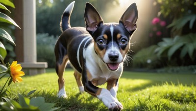 HQ,solo,looking at viewer,open mouth,full body,flower,outdoors,day,tongue,tongue out,blurry,black eyes,no humans,depth of field,blurry background,animal,grass,plant,dog,realistic,yellow flower,animal focus,brown eyes,signature,sunlight,nature