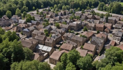 outdoors,day,tree,no humans,building,nature,scenery,forest,city,road,house,window,from above,plant,bush,ruins,overgrown