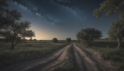 outdoors,sky,cloud,tree,no humans,night,grass,star (sky),nature,night sky,scenery,forest,starry sky,sunset,road,landscape,path