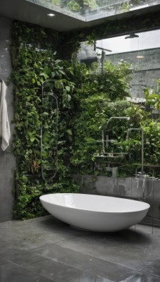 outdoors,day,indoors,water,tree,no humans,window,leaf,plant,scenery,reflection,mirror,tiles,potted plant,bathroom,sink,faucet,overgrown,building,rain,ruins