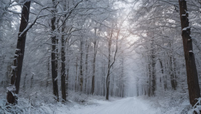 monochrome, outdoors, tree, no humans, traditional media, nature, scenery, snow, forest, winter, bare tree