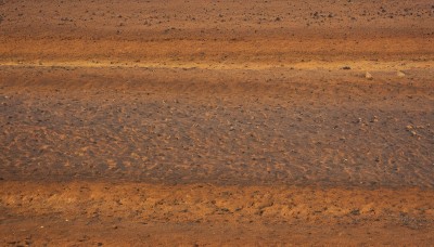 outdoors,sky,signature,no humans,bird,ocean,traditional media,scenery,sunset,horizon,orange theme,monochrome,comic,water,from above,beach,nature,sand,orange background,shore,orange sky