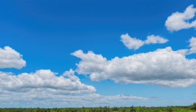 outdoors,sky,day,cloud,tree,blue sky,no humans,cloudy sky,grass,nature,scenery,forest,field,summer,cumulonimbus cloud