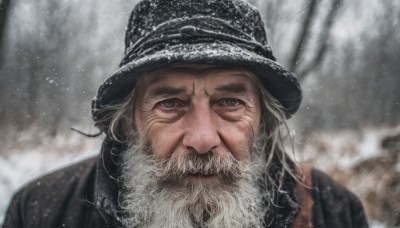 solo,looking at viewer,blue eyes,1boy,hat,jacket,upper body,white hair,grey hair,male focus,outdoors,blurry,tree,coat,black headwear,blurry background,facial hair,portrait,beard,snow,snowing,realistic,mustache,old,old man,closed mouth,signature,scarf,grey eyes,depth of field,scar,scar on face,manly,winter,wrinkled skin