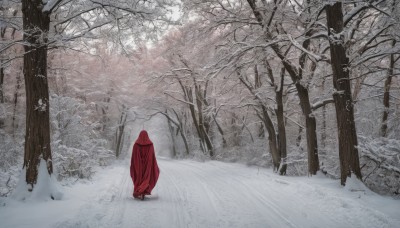 solo,outdoors,hood,cape,tree,no humans,nature,scenery,cloak,snow,forest,road,winter,hooded cloak,bare tree,path,footprints,red cloak,1girl,1boy,standing,hood up