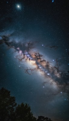 outdoors,sky,cloud,tree,no humans,night,star (sky),nature,night sky,scenery,forest,starry sky,dark,milky way,star (symbol),branch,bare tree