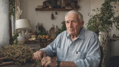 solo,looking at viewer,short hair,blue eyes,shirt,long sleeves,1boy,sitting,closed mouth,white shirt,upper body,white hair,grey hair,male focus,food,collared shirt,indoors,blurry,dress shirt,buttons,blurry background,facial hair,chair,table,plant,beard,pocket,watch,realistic,wristwatch,lamp,breast pocket,old,old man,photo background,wrinkled skin,grey eyes,fruit,depth of field,bottle,pen,grapes,lemon,light bulb