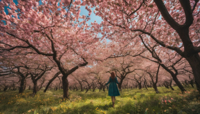 1girl, solo, long hair, brown hair, dress, standing, flower, outdoors, sky, day, from behind, tree, blue sky, grass, cherry blossoms, scenery, wide shot