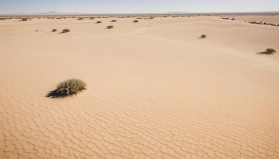 outdoors,sky,day,water,tree,no humans,bird,ocean,beach,scenery,sand,horizon,road,shore,desert,footprints,cloud,blue sky,grass