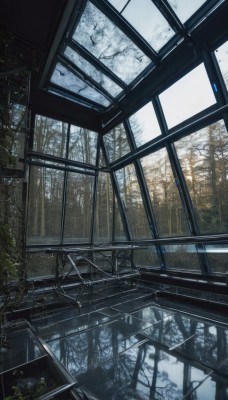 outdoors,day,indoors,tree,dutch angle,no humans,window,sunlight,plant,nature,scenery,snow,forest,branch,ruins,bare tree,overgrown,solo,bird,broken window