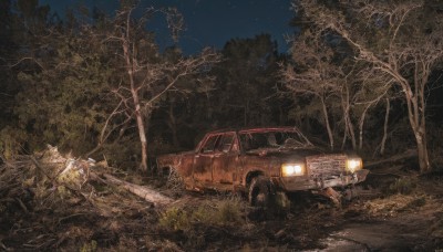 outdoors,sky,tree,no humans,night,grass,ground vehicle,star (sky),nature,night sky,scenery,motor vehicle,forest,starry sky,car,road,vehicle focus,bare tree,signature,dark