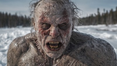 solo,looking at viewer,open mouth,1boy,male focus,outdoors,sky,teeth,blurry,tree,no humans,blurry background,nature,snow,forest,monster,snowing,realistic,horror (theme),upper body,day,blood,messy hair,portrait,angry