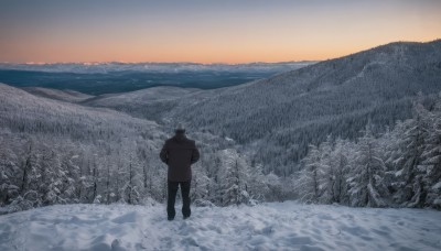 solo,short hair,black hair,long sleeves,1boy,standing,jacket,male focus,outdoors,sky,pants,from behind,tree,coat,nature,scenery,snow,forest,sunset,mountain,winter clothes,facing away,wide shot,winter,bare tree,mountainous horizon,footprints,black pants,landscape