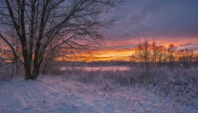 outdoors,sky,cloud,tree,no humans,cloudy sky,grass,nature,scenery,snow,forest,sunset,mountain,winter,bare tree,twilight,evening,landscape,gradient sky,orange sky,blue sky,horizon,field