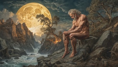 solo,open mouth,1boy,sitting,full body,white hair,grey hair,male focus,nude,outdoors,sky,barefoot,cloud,water,tree,completely nude,tattoo,muscular,night,facial hair,abs,moon,crossed legs,cloudy sky,fire,pectorals,muscular male,nature,scenery,bara,beard,full moon,rock,mountain,mature male,mustache,manly,old,old man,waterfall,cliff,short hair,scar,realistic,fine art parody,campfire