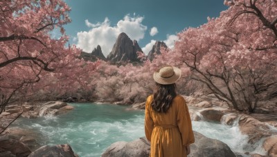 1girl,solo,long hair,brown hair,black hair,long sleeves,hat,dress,standing,outdoors,sky,day,cloud,water,from behind,tree,blue sky,cloudy sky,cherry blossoms,nature,scenery,reflection,rock,mountain,brown headwear,facing away,river,japanese clothes,straw hat