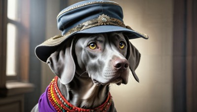 HQ,solo,looking at viewer,hat,jewelry,closed mouth,yellow eyes,indoors,necklace,blurry,no humans,depth of field,blurry background,animal,portrait,blue headwear,dog,realistic,door,animal focus,clothed animal