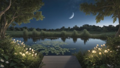 flower,outdoors,sky,water,tree,no humans,night,moon,grass,plant,white flower,star (sky),nature,night sky,scenery,forest,starry sky,reflection,crescent moon,river,lake,lily pad,pond,reflective water,blue sky