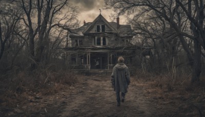 solo,short hair,brown hair,long sleeves,1boy,standing,male focus,boots,outdoors,sky,pants,cloud,hood,from behind,black footwear,tree,coat,gun,hood down,cloudy sky,grass,building,scenery,walking,fence,facing away,house,bare tree,grey coat,bird,rope,nature,forest,smoke,road,path