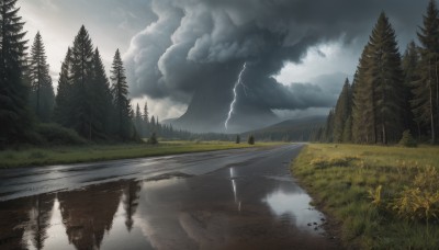 flower,outdoors,sky,day,cloud,water,tree,no humans,cloudy sky,grass,nature,scenery,forest,reflection,rain,mountain,road,river,lightning,landscape,lake,reflective water,pine tree