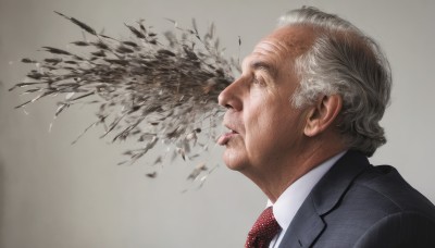 solo,simple background,shirt,1boy,jacket,white shirt,upper body,white hair,grey hair,male focus,necktie,tongue,collared shirt,tongue out,grey background,from side,lips,profile,formal,suit,red necktie,portrait,realistic,old,old man,wrinkled skin,white background,wings,striped,gradient,gradient background,feathers,feathered wings