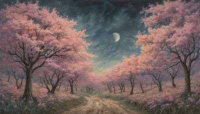 flower,outdoors,sky,cloud,tree,no humans,night,moon,grass,cherry blossoms,star (sky),nature,night sky,scenery,full moon,pink flower,starry sky,field,path,blue sky,landscape