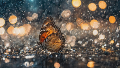 wings, signature, blurry, no humans, night, depth of field, animal, bug, butterfly, scenery, flying, lantern, city, cityscape, bokeh, city lights