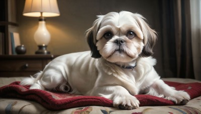 HQ,solo,looking at viewer,brown eyes,closed mouth,lying,indoors,blurry,black eyes,collar,pillow,book,no humans,bed,depth of field,blurry background,animal,curtains,dog,realistic,blanket,bookshelf,lamp,animal focus,on bed,mouth hold,on stomach,animal collar,clothed animal