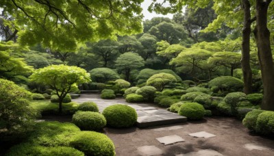 outdoors,day,tree,no humans,sunlight,grass,plant,nature,scenery,forest,rock,road,bush,path,green theme