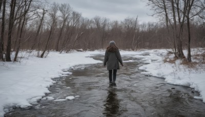 1girl,solo,long hair,brown hair,long sleeves,hat,standing,jacket,pantyhose,boots,outdoors,sky,day,pants,cloud,hood,from behind,black footwear,tree,coat,black jacket,black pantyhose,black pants,cloudy sky,nature,scenery,snow,forest,reflection,walking,beanie,facing away,winter,bare tree,grey sky,footprints,shoes,water,bag,scarf,blood,backpack,arms at sides,winter clothes,wide shot