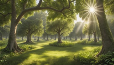 outdoors,day,tree,no humans,leaf,sunlight,grass,plant,nature,scenery,forest,light rays,bush,sunbeam,dappled sunlight,sky,green theme