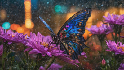 flower, wings, artist name, signature, blurry, no humans, depth of field, blurry background, bug, butterfly, light particles, purple flower, bokeh, butterfly wings