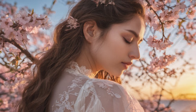 1girl, solo, long hair, brown hair, hair ornament, closed mouth, closed eyes, upper body, flower, outdoors, blurry, from side, tree, lips, eyelashes, profile, depth of field, blurry background, cherry blossoms, realistic, nose, branch