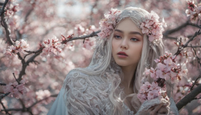 1girl, solo, long hair, blue eyes, hair ornament, upper body, flower, white hair, parted lips, teeth, hair flower, blurry, lips, blurry background, cherry blossoms, realistic, branch