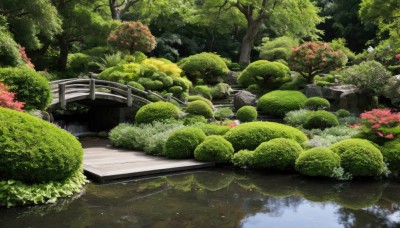 flower,outdoors,day,water,tree,no humans,grass,plant,nature,scenery,forest,reflection,rock,bush,bridge,river,pond,stream,railing,lake,moss