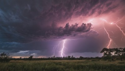 outdoors,sky,cloud,tree,no humans,cloudy sky,grass,nature,scenery,forest,sunset,electricity,lightning,landscape,red sky,sunlight,field