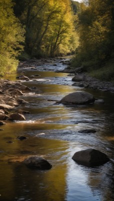 outdoors,day,water,tree,no humans,sunlight,grass,nature,scenery,forest,reflection,rock,river,stone,pond,reflective water,stream,plant,bush