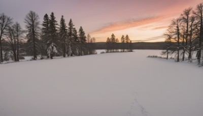 outdoors,sky,cloud,tree,no humans,cloudy sky,nature,scenery,snow,forest,sunset,mountain,winter,bare tree,landscape,orange sky,pine tree,water