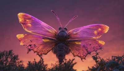 solo, outdoors, wings, sky, tree, pokemon (creature), no humans, from below, bug, nature, forest, flying, sunset, antennae, twilight, butterfly wings, gradient sky, insect wings