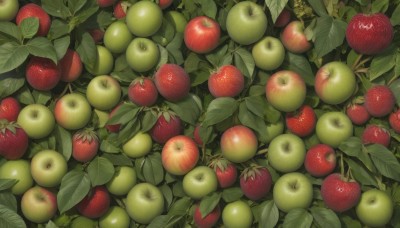 food,no humans,fruit,leaf,plant,scenery,apple,food focus,still life,outdoors,day,from above