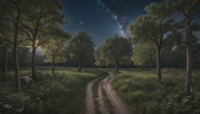 outdoors,sky,cloud,tree,no humans,night,moon,grass,plant,star (sky),nature,night sky,scenery,forest,starry sky,rock,road,bush,path,landscape